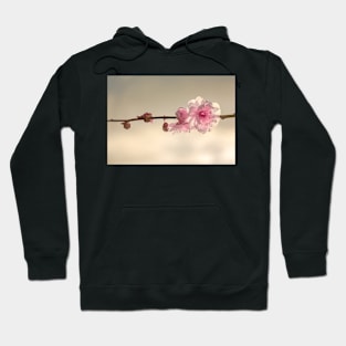 FLOWERS, NATURE’S Fashion Models Hoodie